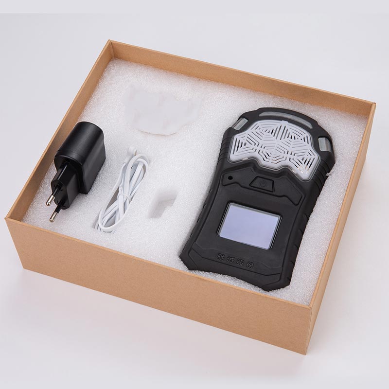 GC610 Portable gas detector