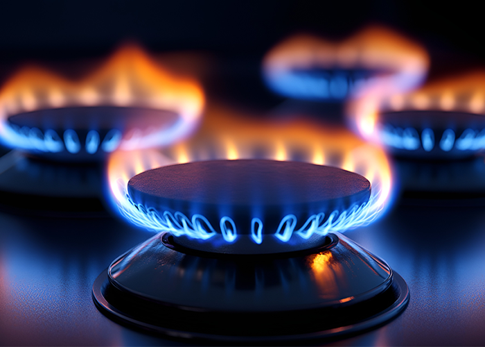 Solving the gas safety problem from the user end